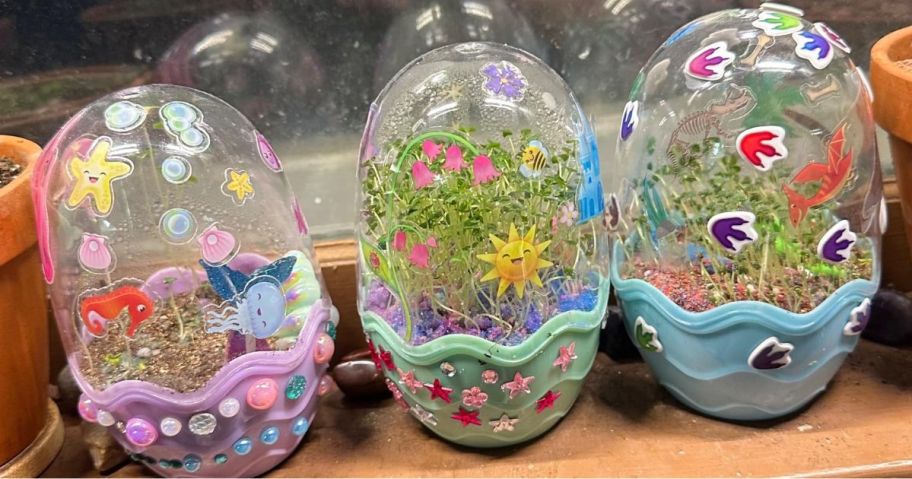 Creativity for Kids Terrariums