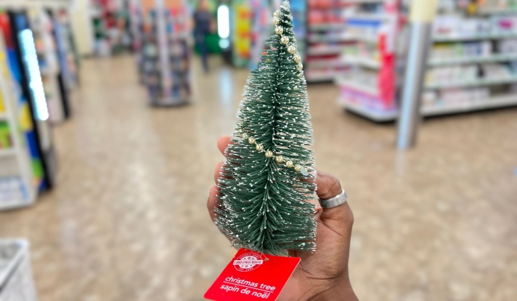 hand holding mini christmas tree