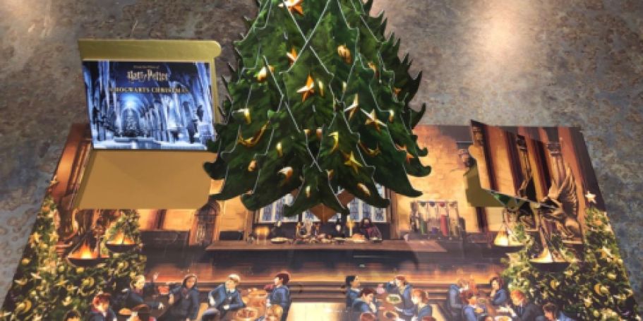 Harry Potter Pop-Up Book & Advent Calendar Just $17 on Amazon or Walmart (Reg. $40)