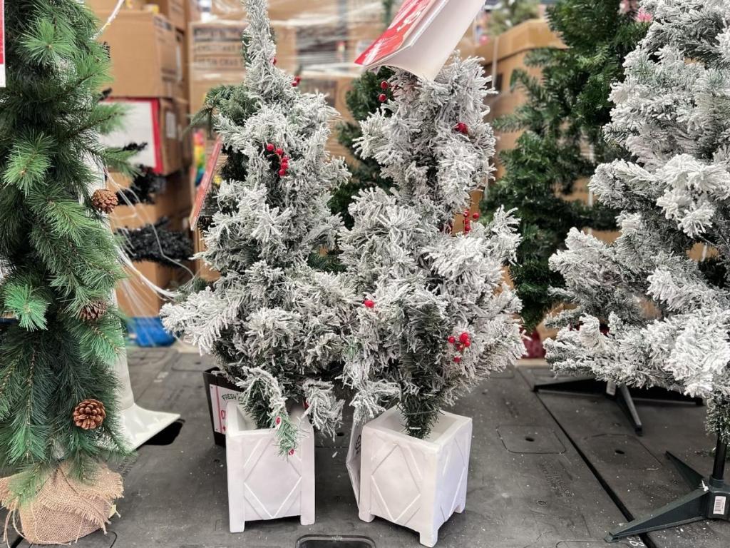 Holiday Time 3.5' Flocked Potted Christmas Trees 2-Pack
