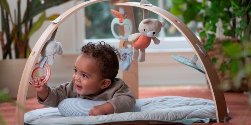Ingenuity Baby Activity Gym Just $39.98 Shipped on Target (Regularly $70)