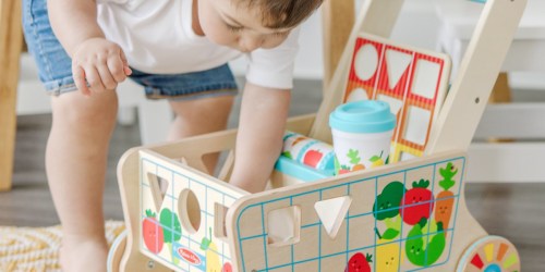 Melissa & Doug Shape Sorting Grocery Cart w/ Puzzles Just $35.99 Shipped on Amazon (Reg. $75)