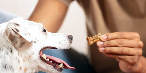 Milk-Bone Dog Treats 36oz Canister Just $6.89 Shipped on Amazon (Reg. $11.48)