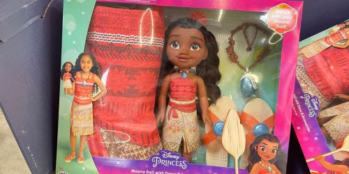 Disney Princess Doll & Dress Up Sets ONLY $25 on Walmart.com