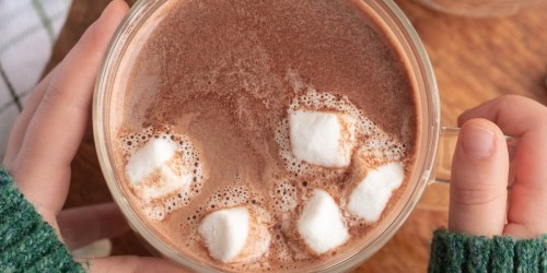 Nestle Hot Chocolate Mix 2lb Just $3.76 Shipped on Amazon (Regularly $5)