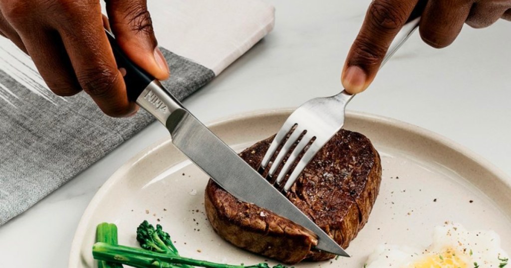 Ninja Foodi NeverDull System Stainless Steel Steak Knife