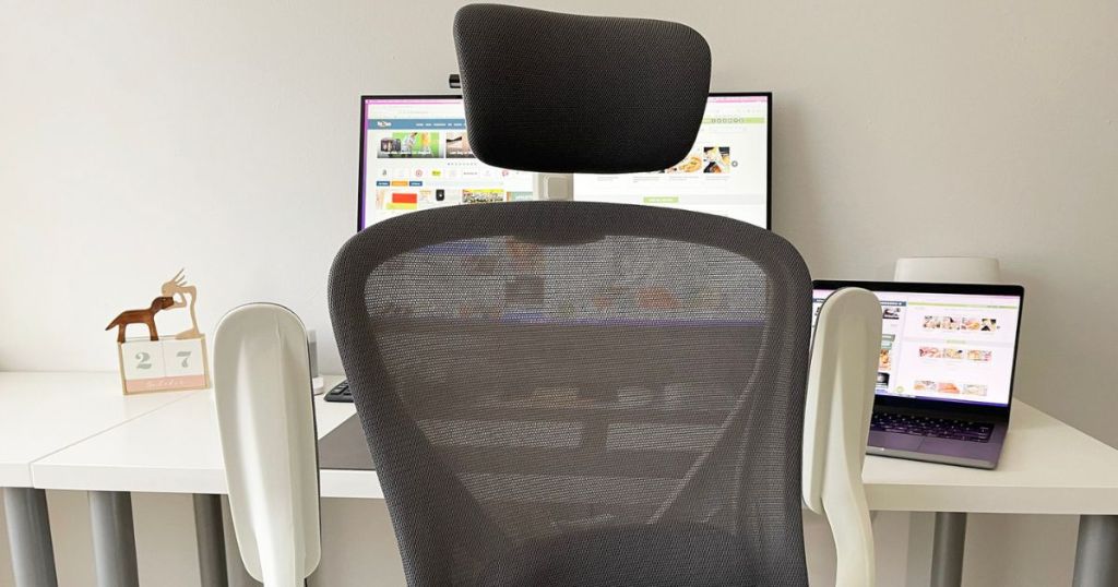 Sichy Ergonomic Office Chair