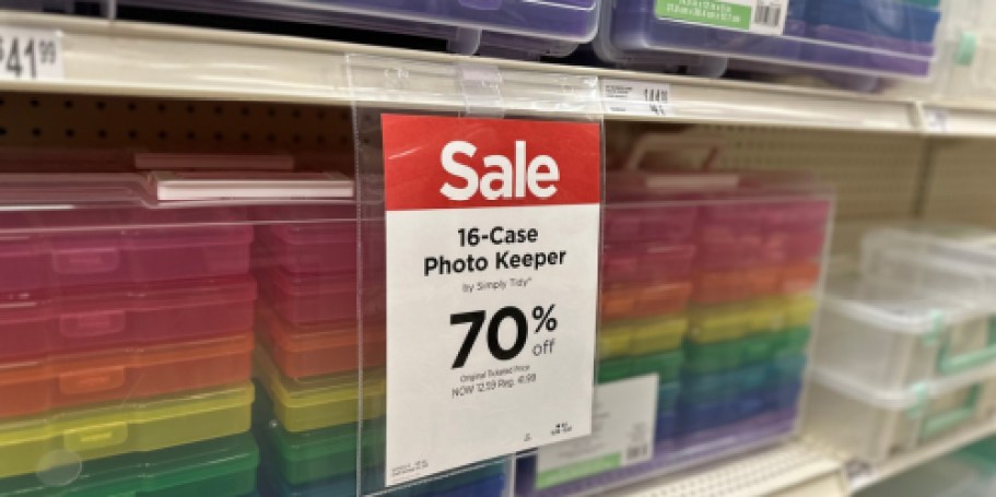 Michael’s Photo & Craft Keeper Under $13 (Storage Possibilities are Endless!)