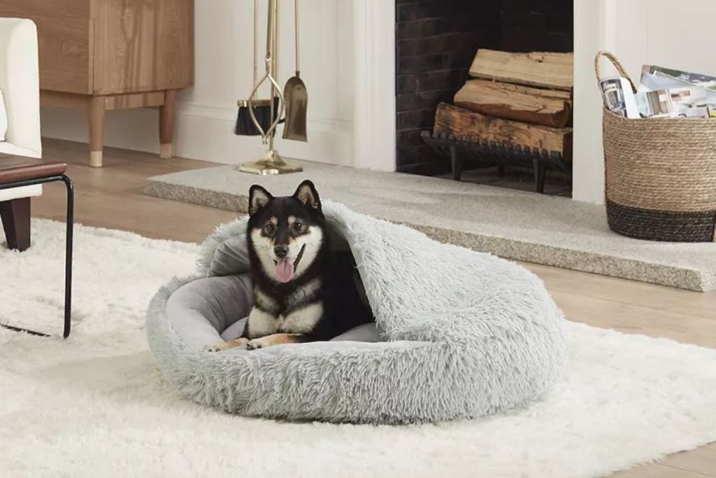 dog laying in a Koolaburra by UGG Jenna Faux Fur Pet Bed in a living room