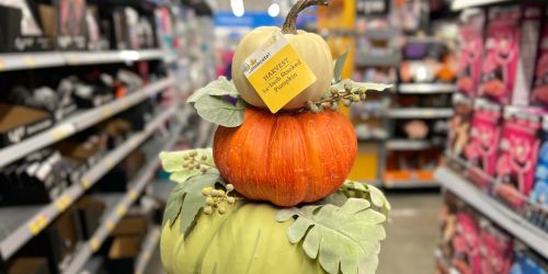 NEW Walmart Fall Decor from $2.48 | Stacking Pumpkins, Tabletop Decor, Gnomes & More