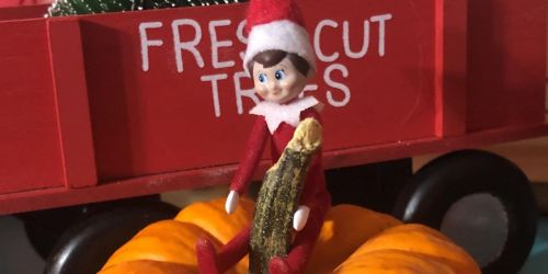 50% Off LTD Black Friday Sale | World’s Smallest Elf on the Shelf Just $6.29, Slippers from $6.99 & More