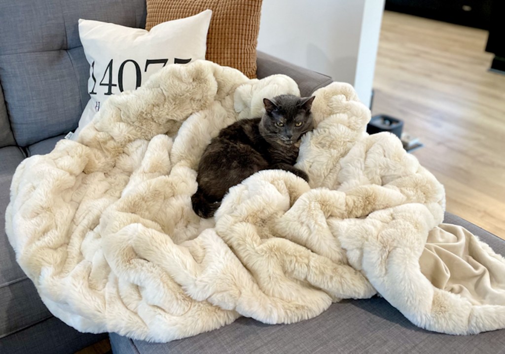 cat sitting on top of beige faux fur blanket top luxury christmas gifts