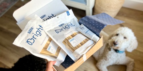 BARK Bright Dental Kit for Dogs Just $30 for One Month Supply (NO Subscription Required!)