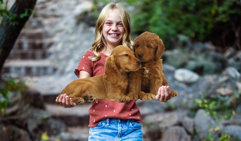 child with puppies