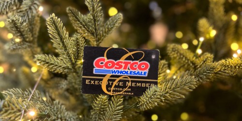 Hottest Costco Membership Deal | Score a $10 or $20 Shop Card (+ Here’s Why You Need One)