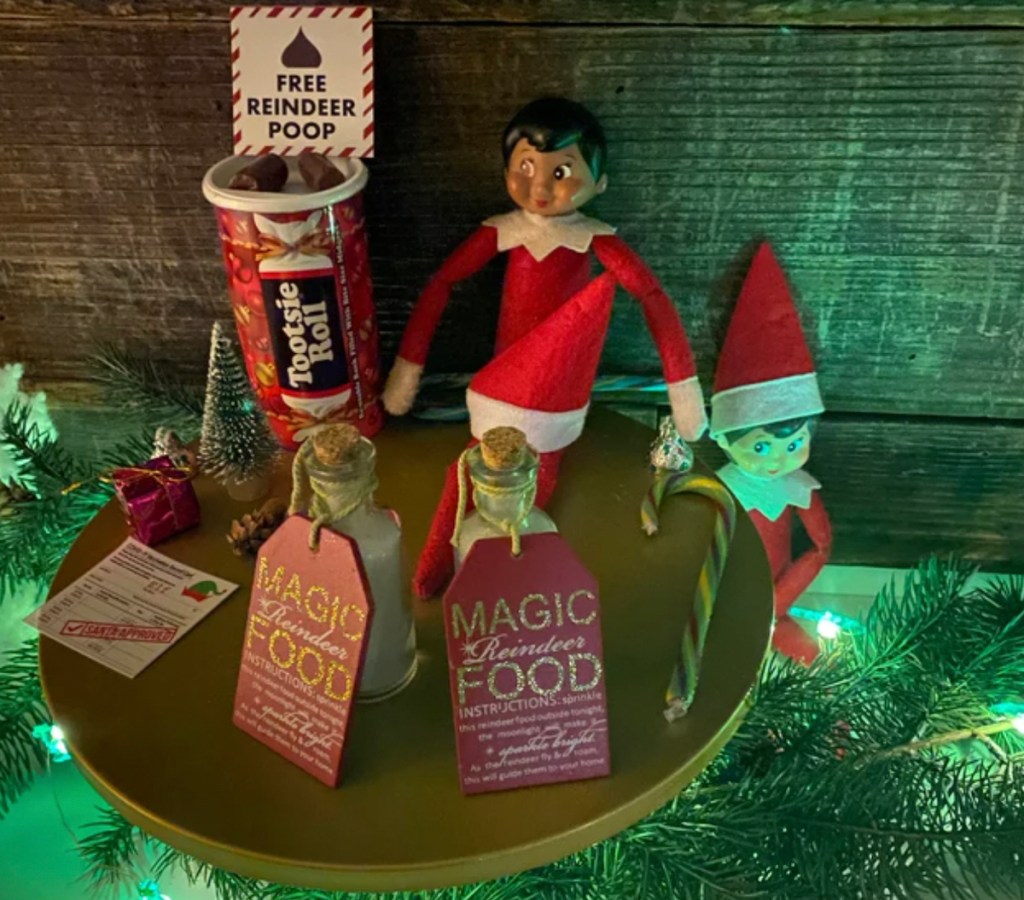 two elf on the shelf toys with props