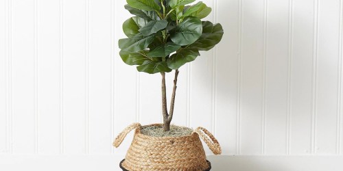 Faux 3′ Fiddle Leaf Fig Tree w/ Basket JUST $24.99 Shipped for New QVC Customers (Regularly $50)