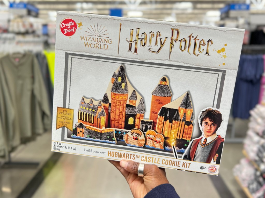hand holding harry potter cookies kit
