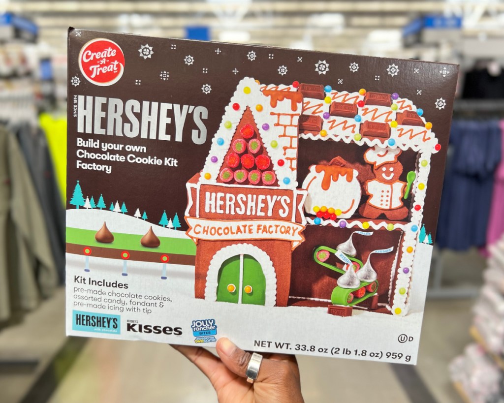 hand holding gingerbread house kit in aisle