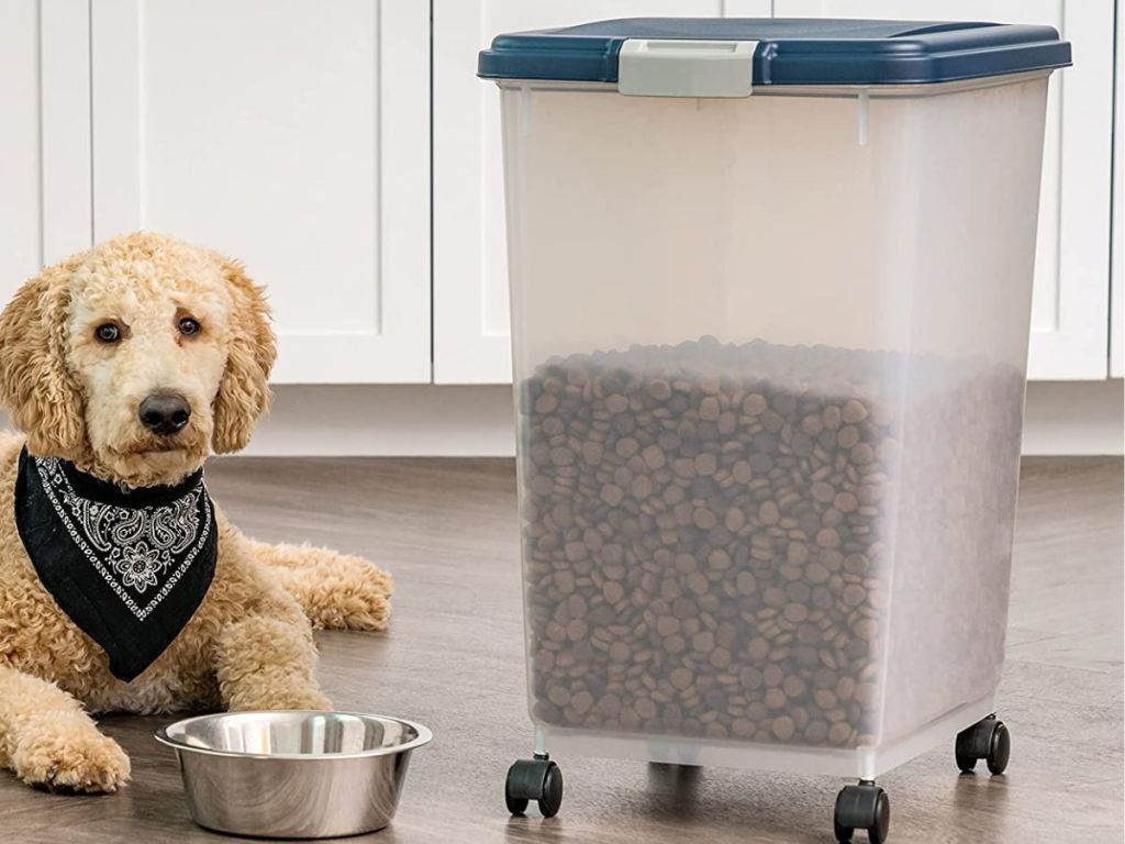 dog laying down next to food dish and large food storage container