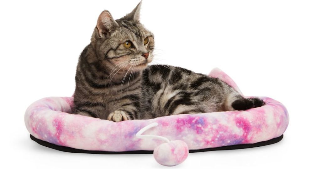 gray black and white cat sitting in tie dye pet bed