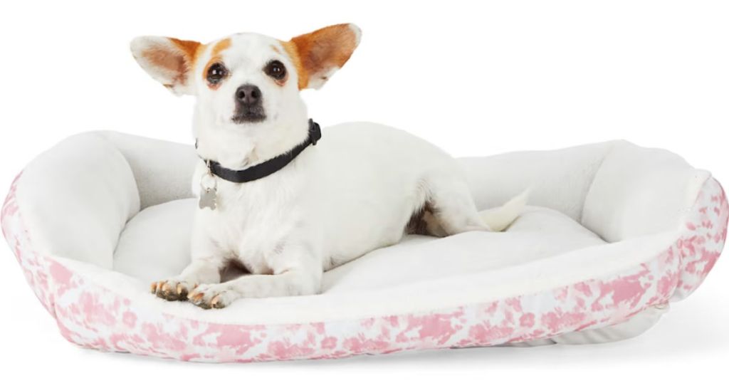 small white and brown dog laying in white and pink dog bed