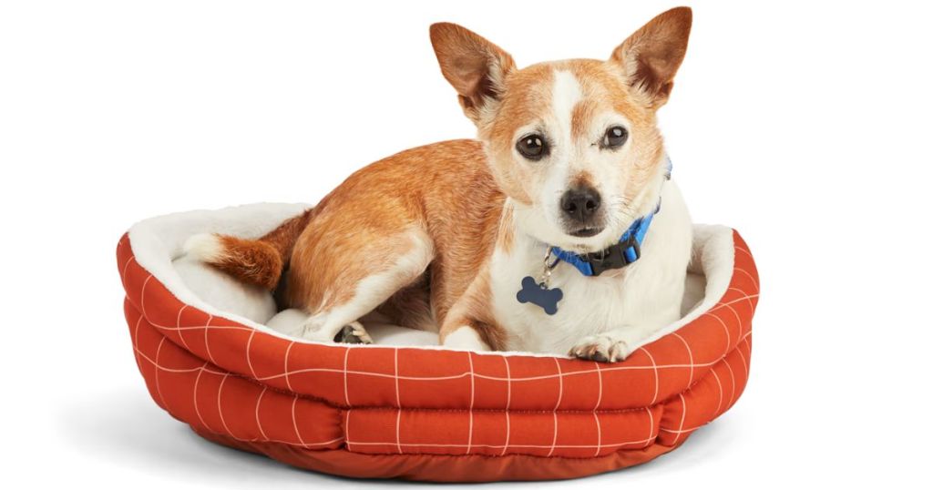 dog sitting in orange plaid dog bed