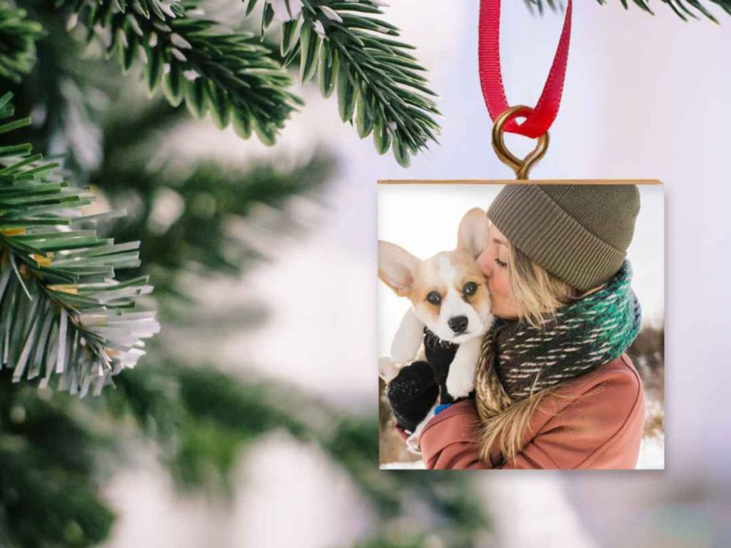 ornament hanging on Christmas tree