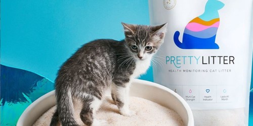 PrettyLitter Cat Litter 8 Pound Bag Just $16 on Chewy.com (Regularly $27) | Looks Great & Catches Infections