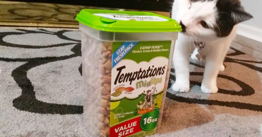 Temptations Cat Treats 16oz Tub Only $6 Shipped on Amazon