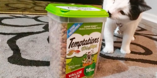 Temptations Cat Treats 16oz Tubs Only $6 Shipped on Amazon
