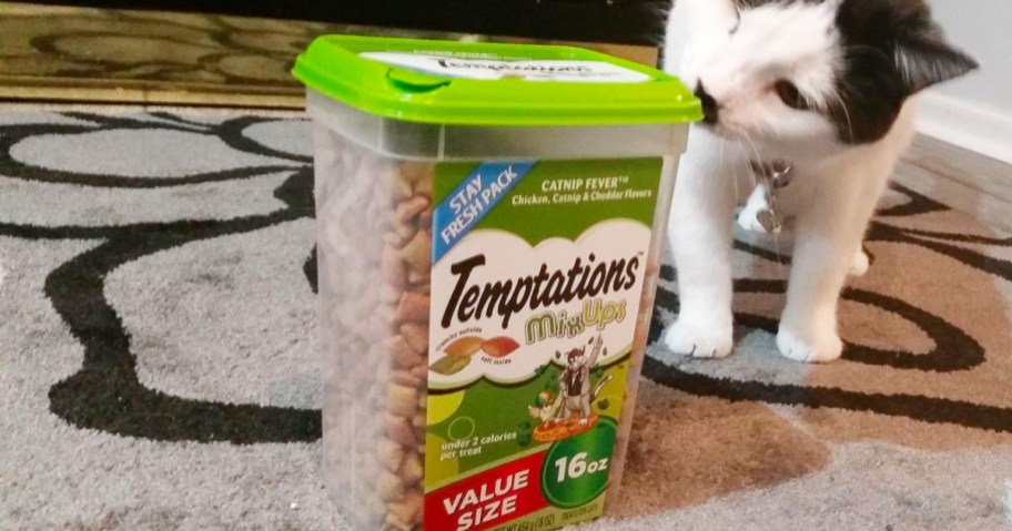 temptations cat treats