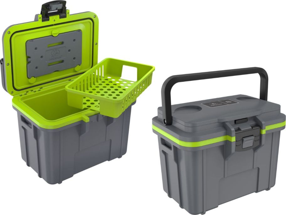 a vault cooler with exterior and interior image in gray and neon green