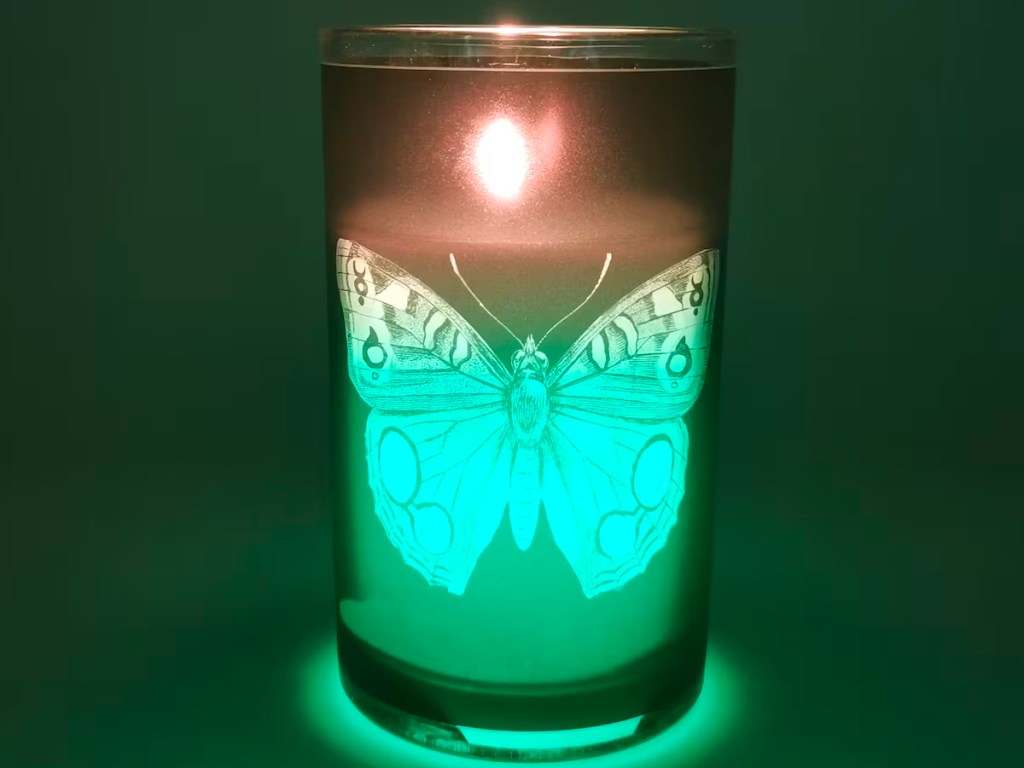 green butterfly xray candle