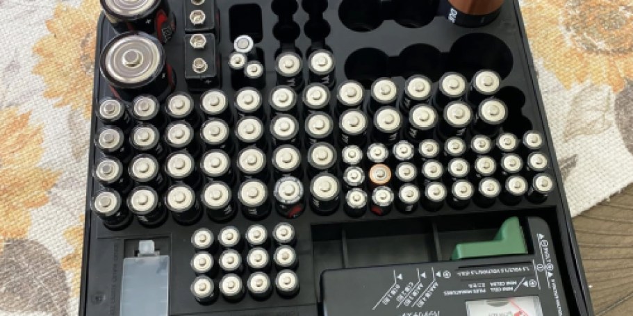 Amazon Basics Battery Organizer w/ Tester Just $10 (Holds 110 Batteries)