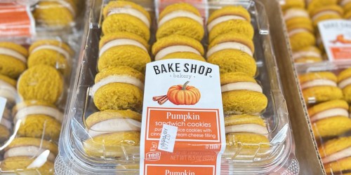 New ALDI Fall Grocery Finds | Pumpkin & Apple Flavored Snacks, Seasonal Coffees, & More