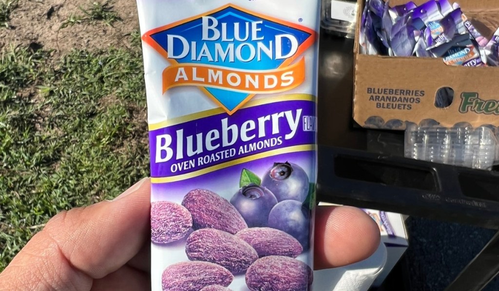 Blue Diamond Almonds Blueberry Flavored Snack Nuts