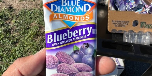 Blue Diamond Almonds 12-Pack Only $10.92 Shipped on Amazon (Just 91¢ Each!)
