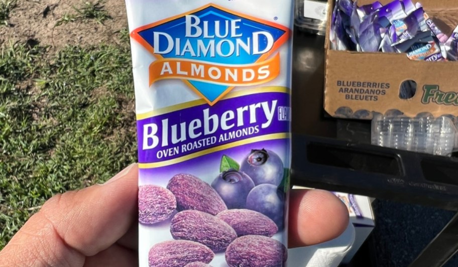 hand holding Blue Diamond Almonds Blueberry Flavored Snack Nuts