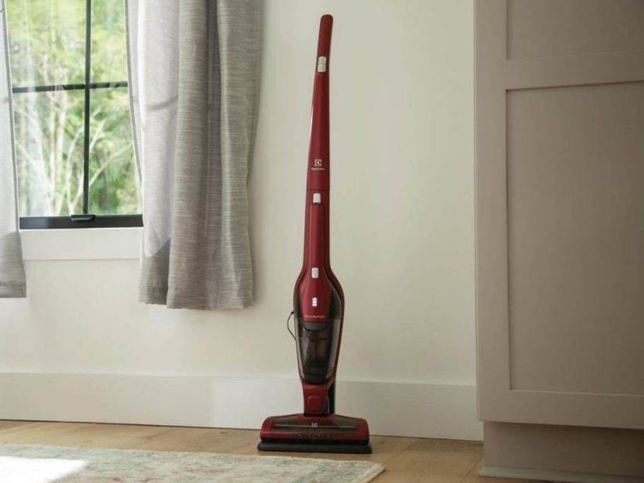 An Electrolux Ergorapido Pet Bagless, Cordless, w/ Detachable Handset set against a wall in a living room