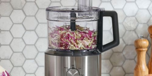 GE Food Processor or Blender Only $79 Shipped on Lowes.com (Regularly $129)