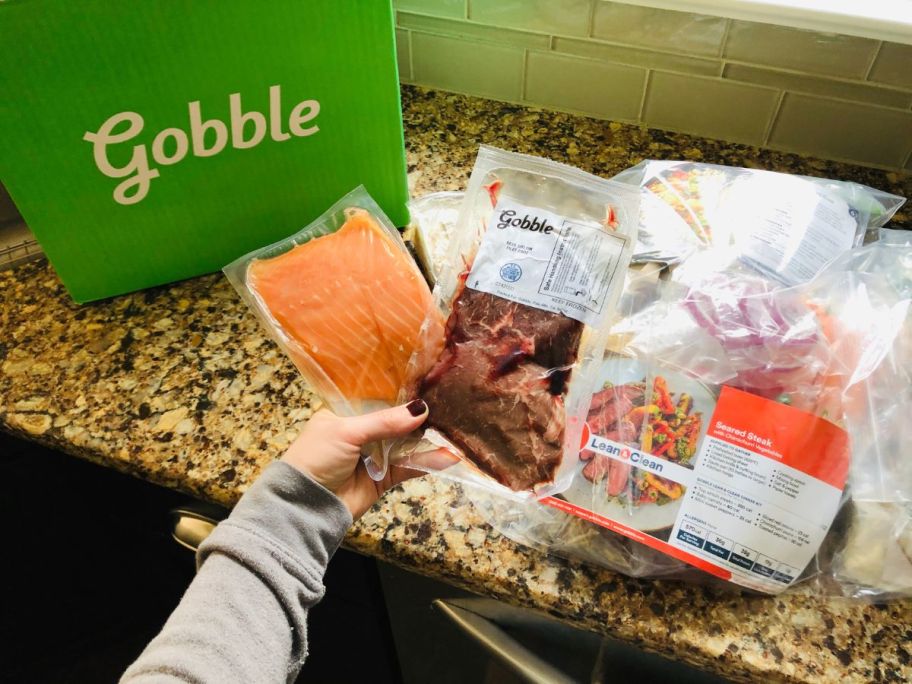 A hand holding Gobble Box protein