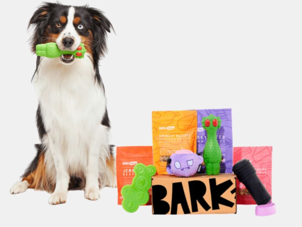 Hip2Save-1200x900-6-3 اطلب صندوق Barkbox Super Chewer Box واحصل على وعاء Yeti Dog مجانًا