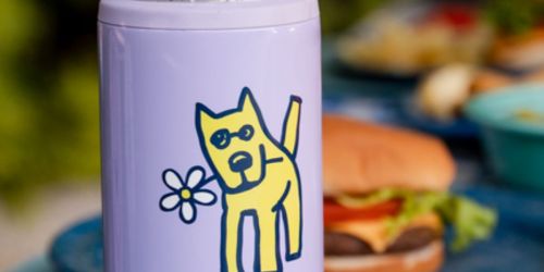 Free Shipping on ANY Life is Good Order | Water Bottles, Can Coolers, & T-Shirts Just $8.49 Shipped (Reg. $20)