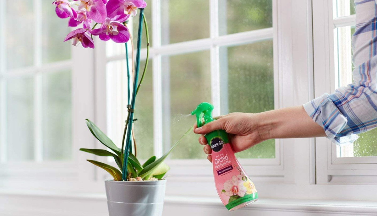 How To Use Miracle Gro Orchid Plant Food Mist