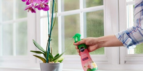 Miracle-Gro Ready-To-Use Orchid Plant Food Spray 2-Pack Only $6.45 on Amazon (Just $3.22 Each)