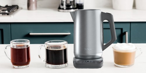 Ninja Precision Temperature Electric Kettle Just $41 on Kohls.com (Reg. $100) | Easily Boil Water for Any Drink