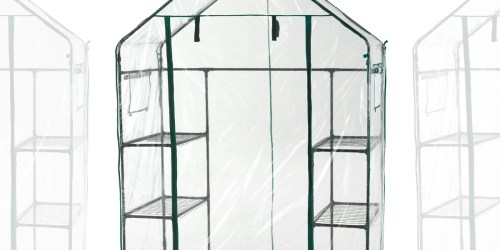 Walk-In Greenhouse Just $30 on Lowes.com (Regularly $80)
