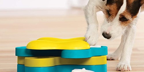 Outward Hound Dog Puzzle Toys Just $6.62 on Amazon (Regularly $20)