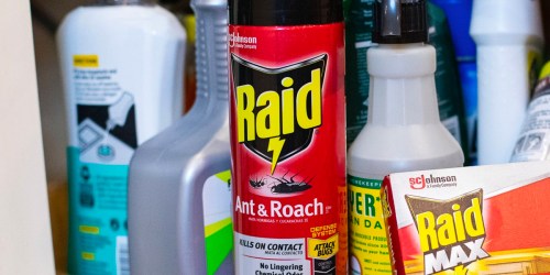 Raid Ant and Roach Killer Spray Just $3.25 Shipped on Amazon